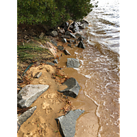 King tide Williamsburg in James city County image